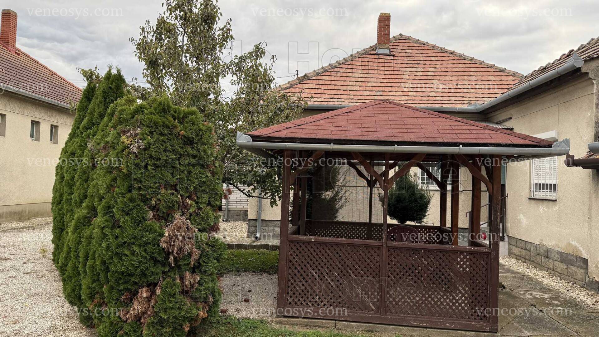 Kép 6