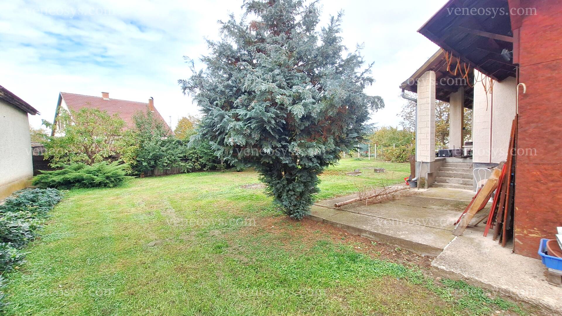 Kép 7