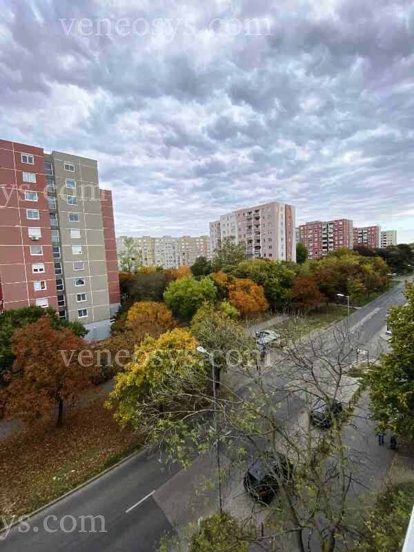 Kép 6