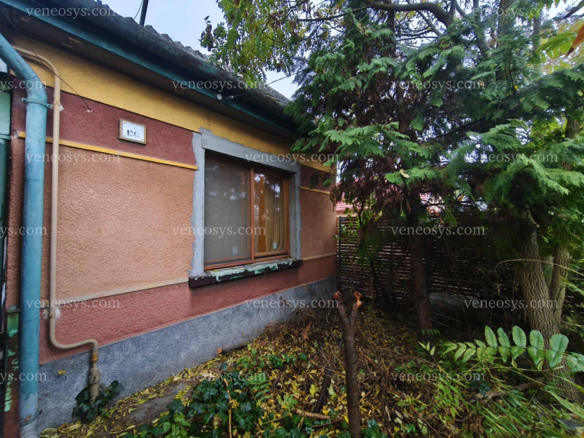 Kép 15