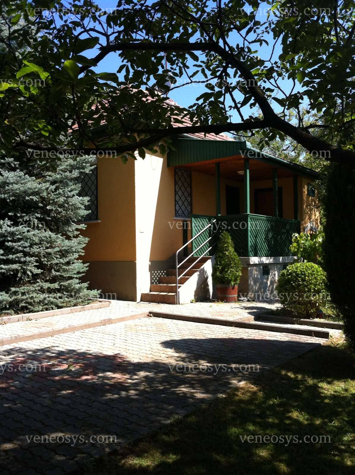 Kép 4