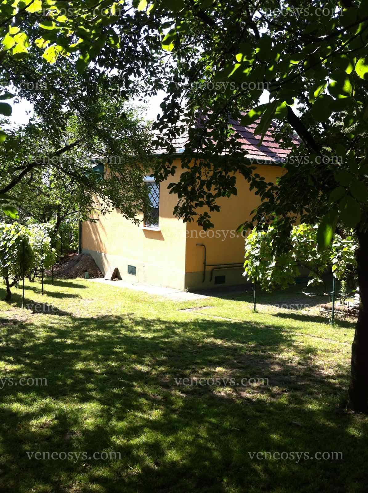 Kép 5