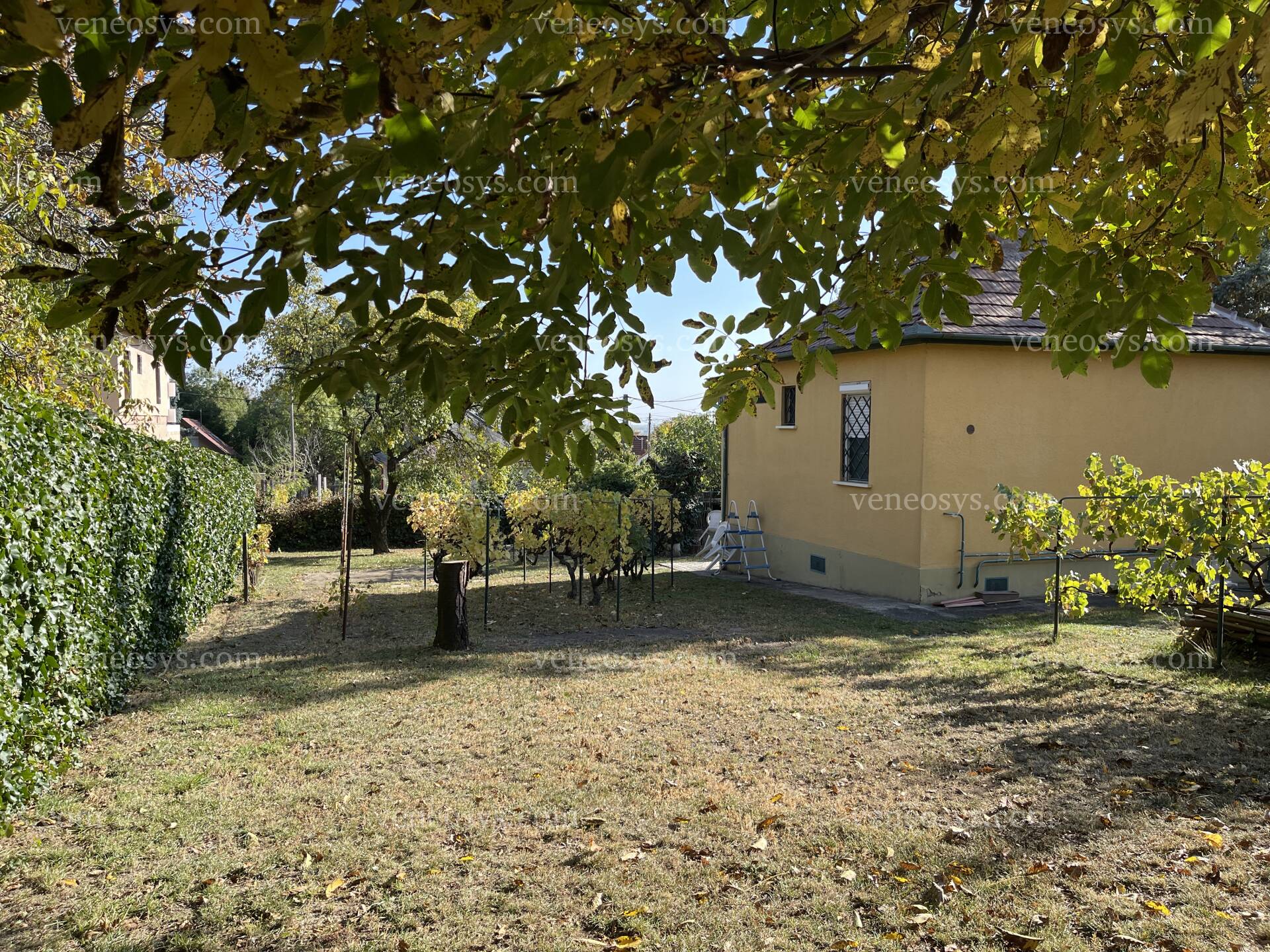 Kép 9