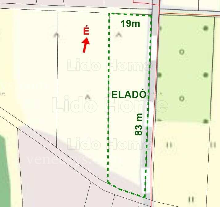 Kép 3