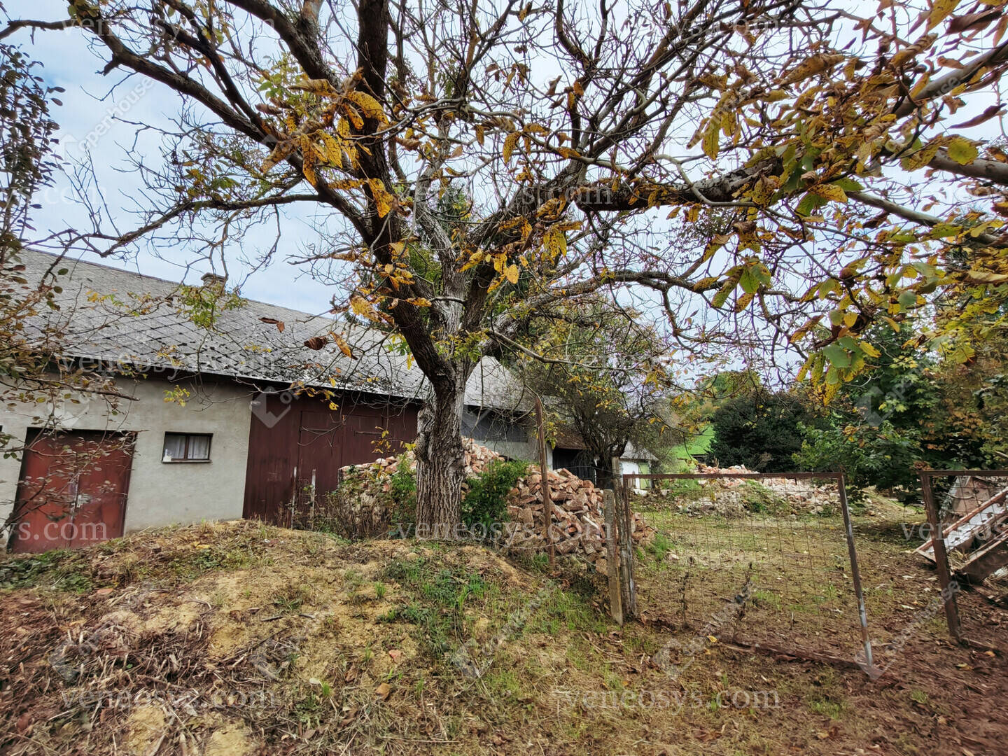 Kép 6