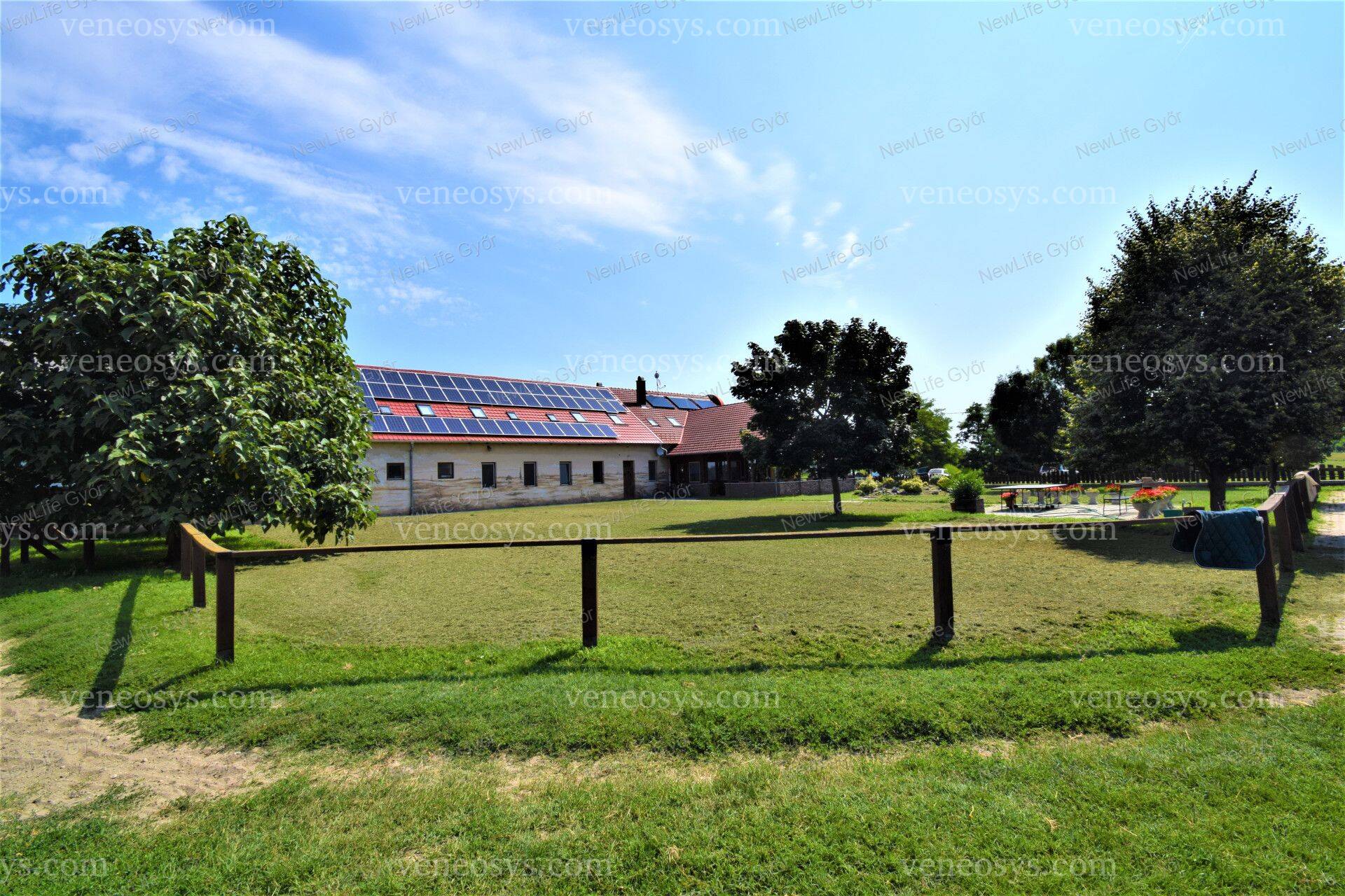 Kép 10