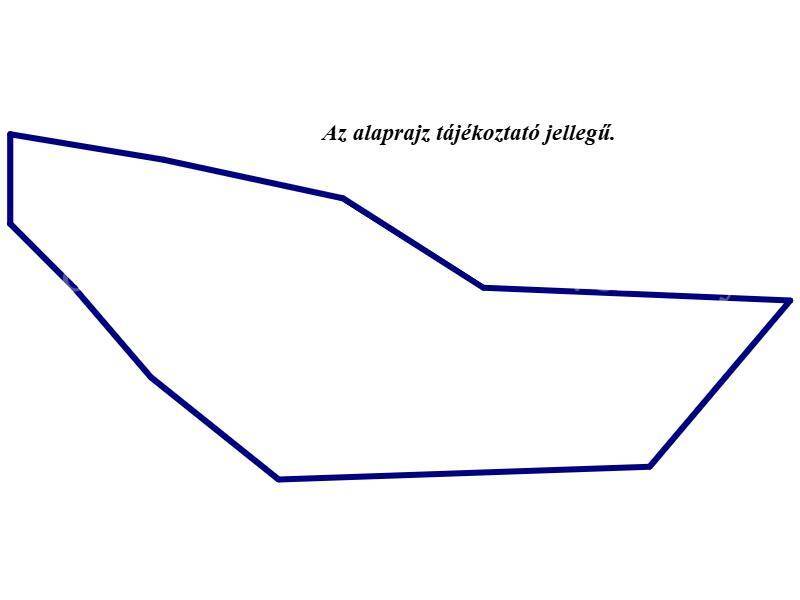 Kép 5