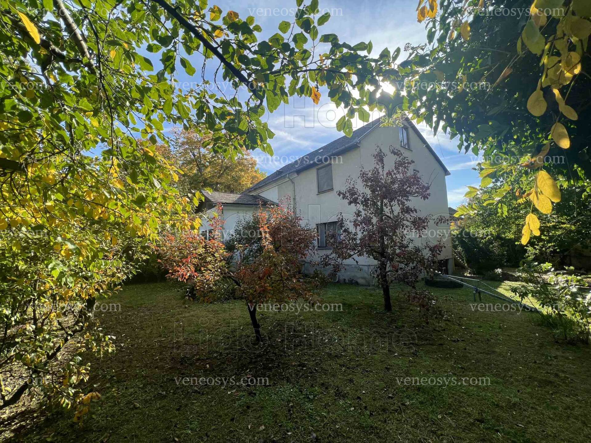 Kép 2