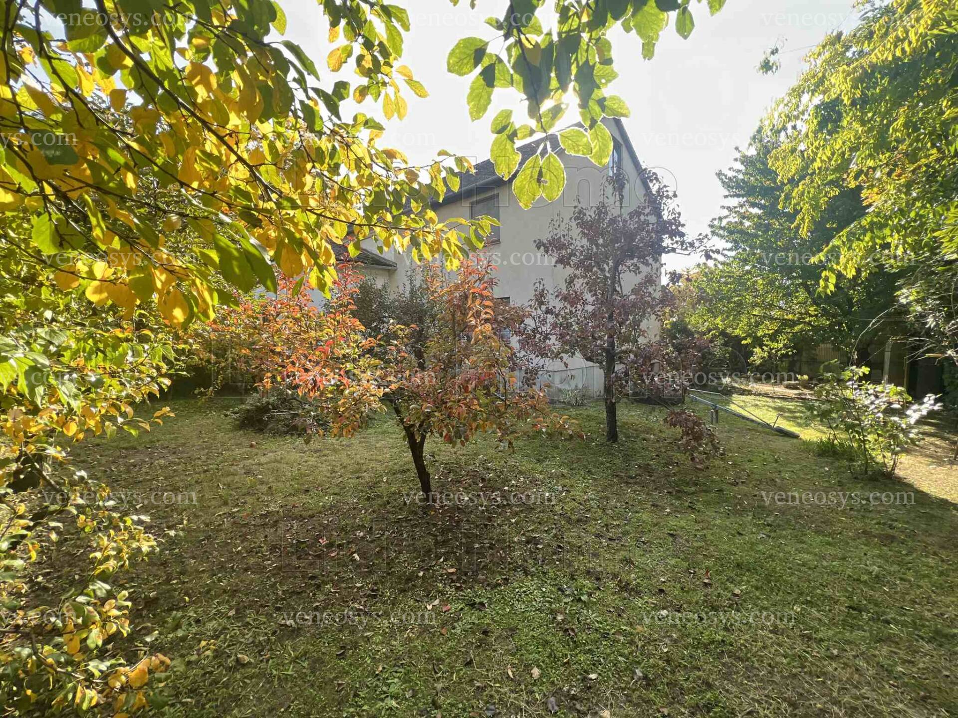 Kép 7