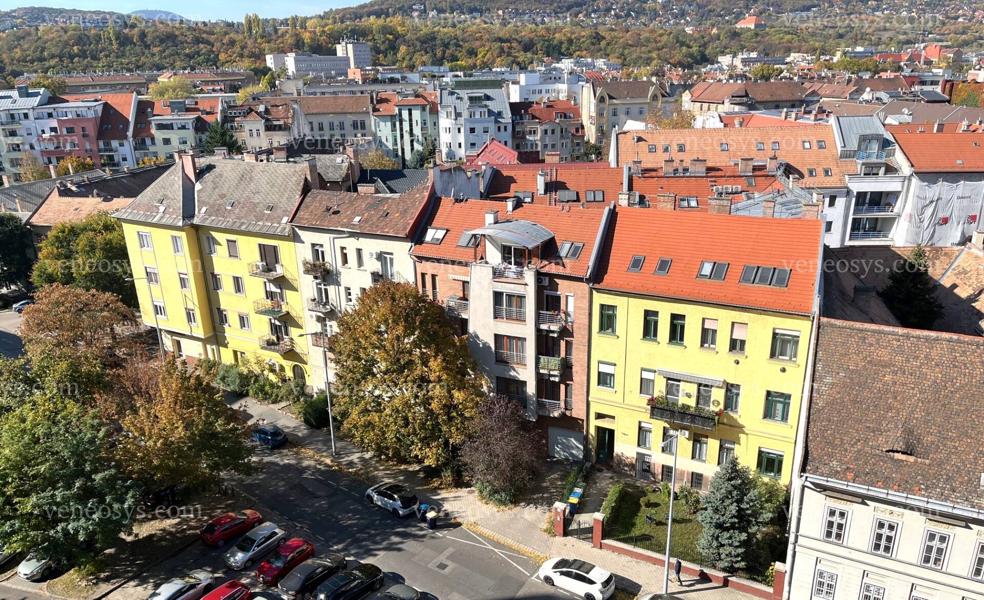 Kép 6