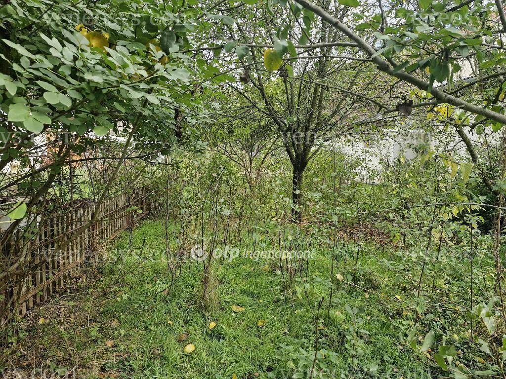 Kép 15