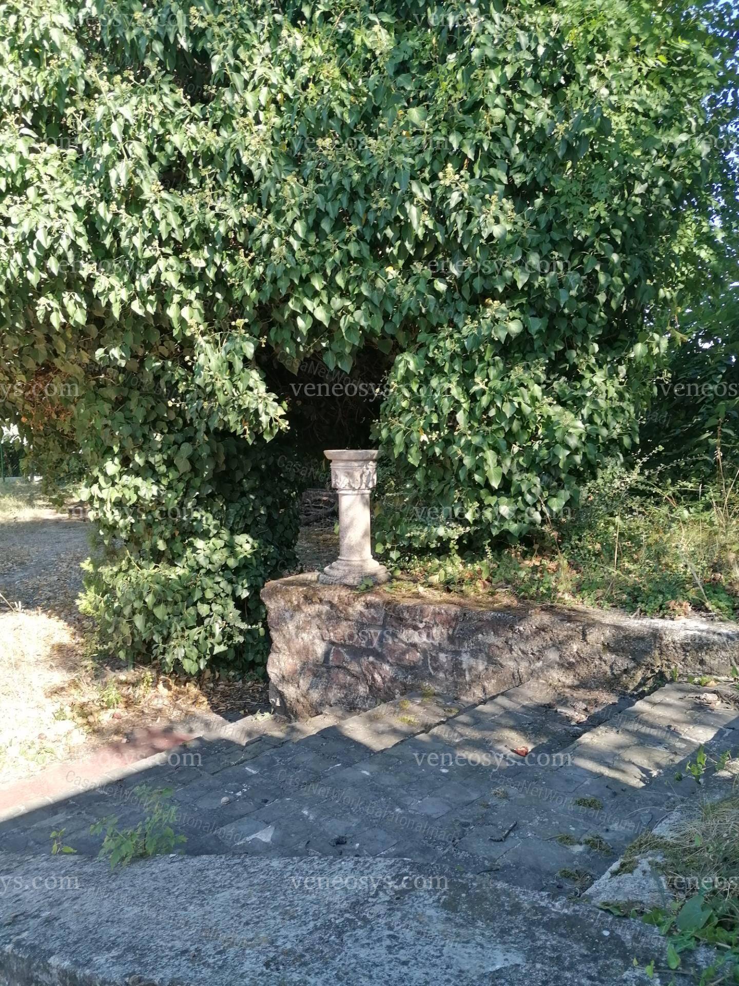 Kép 4
