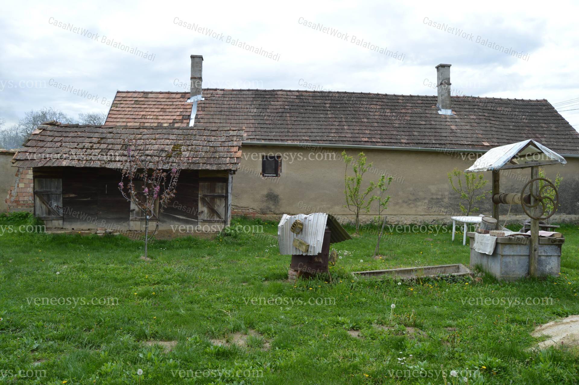Kép 12