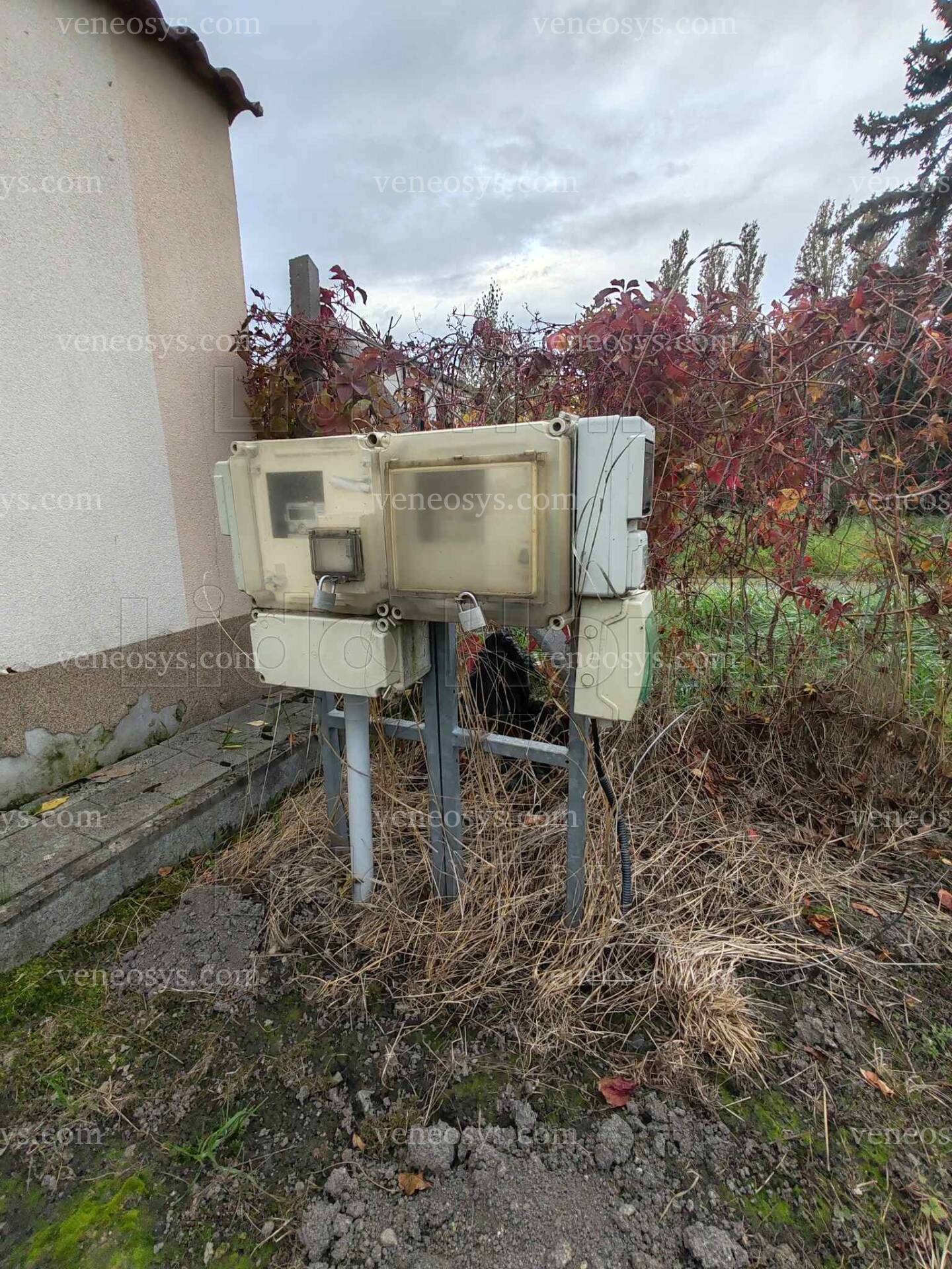 Kép 4
