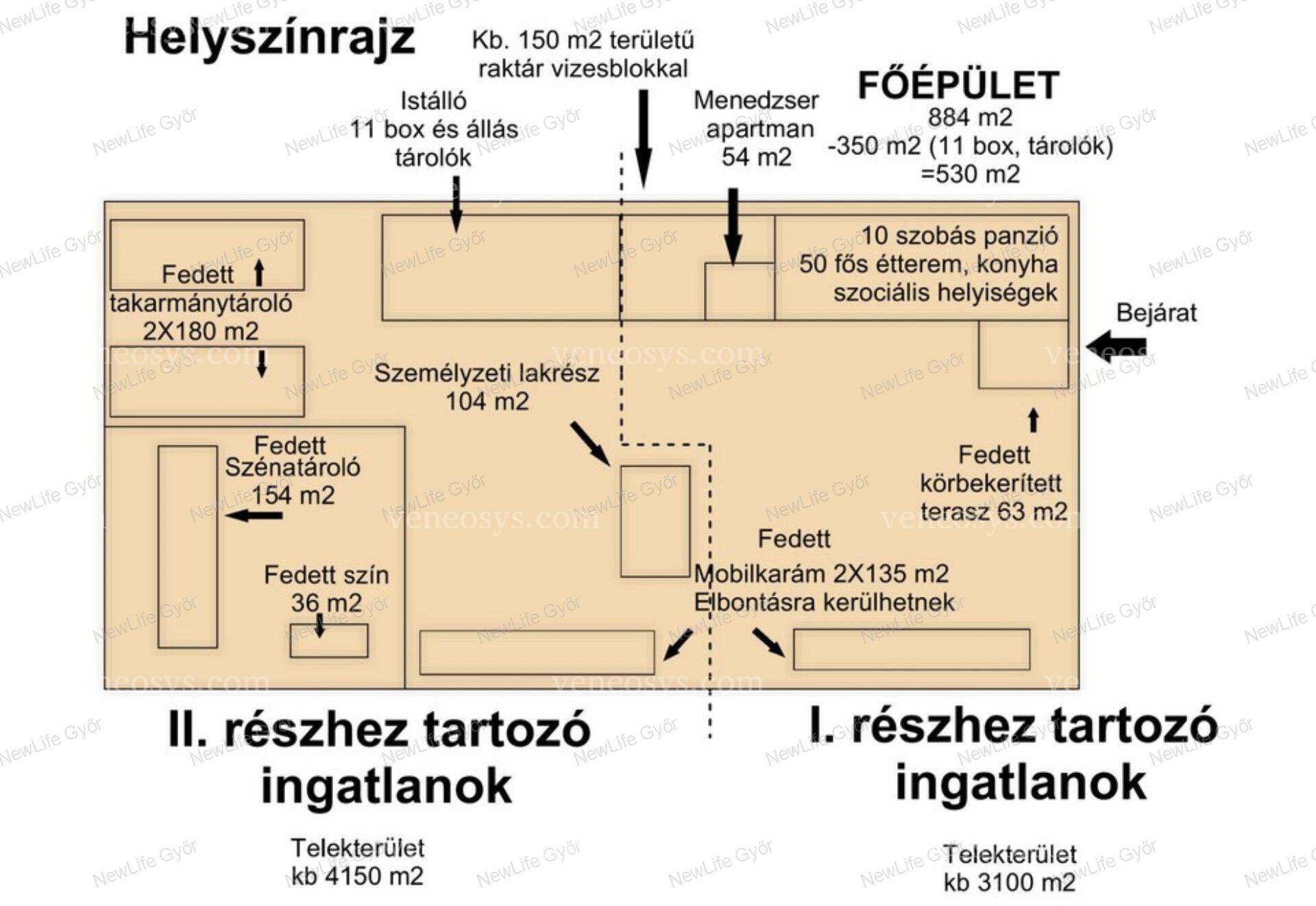 Kép 13