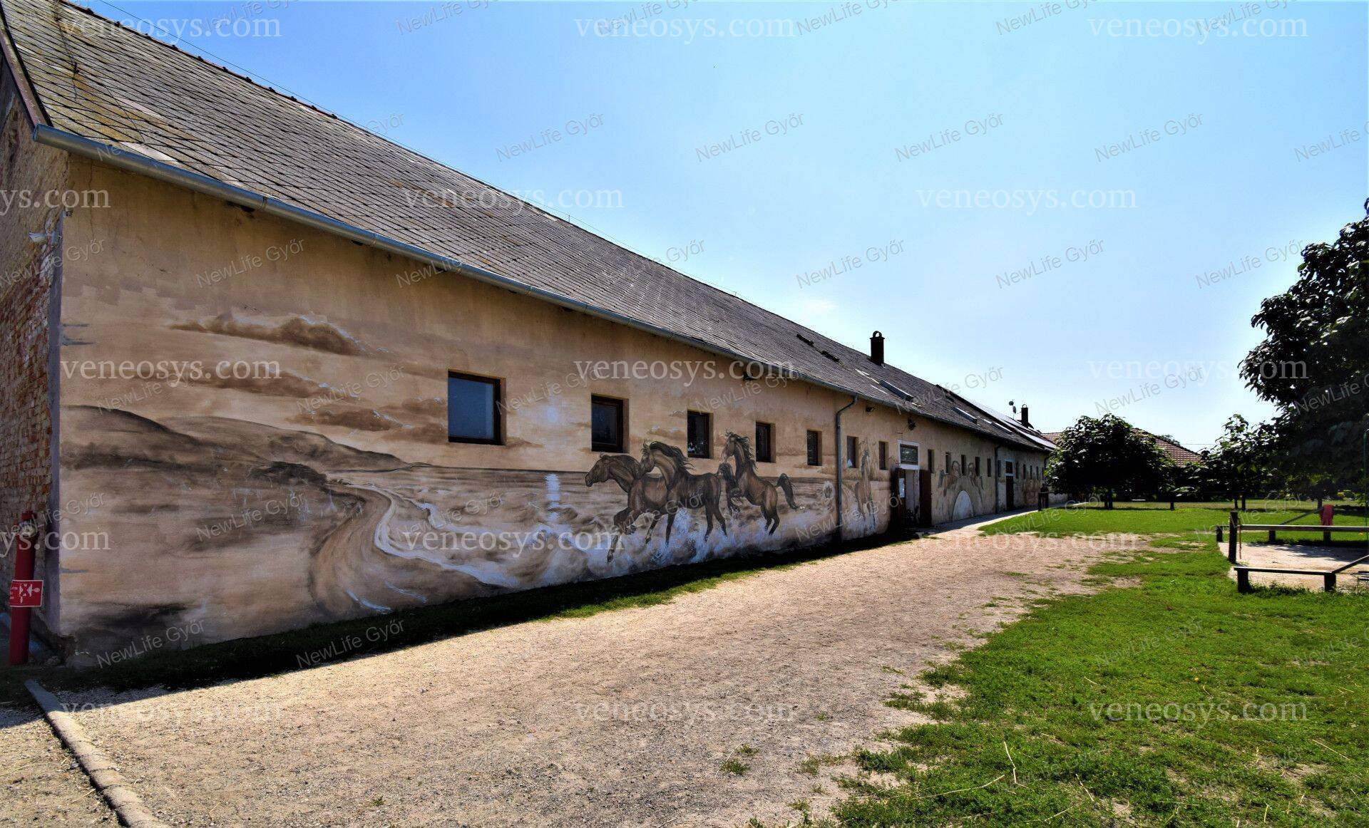 Kép 11