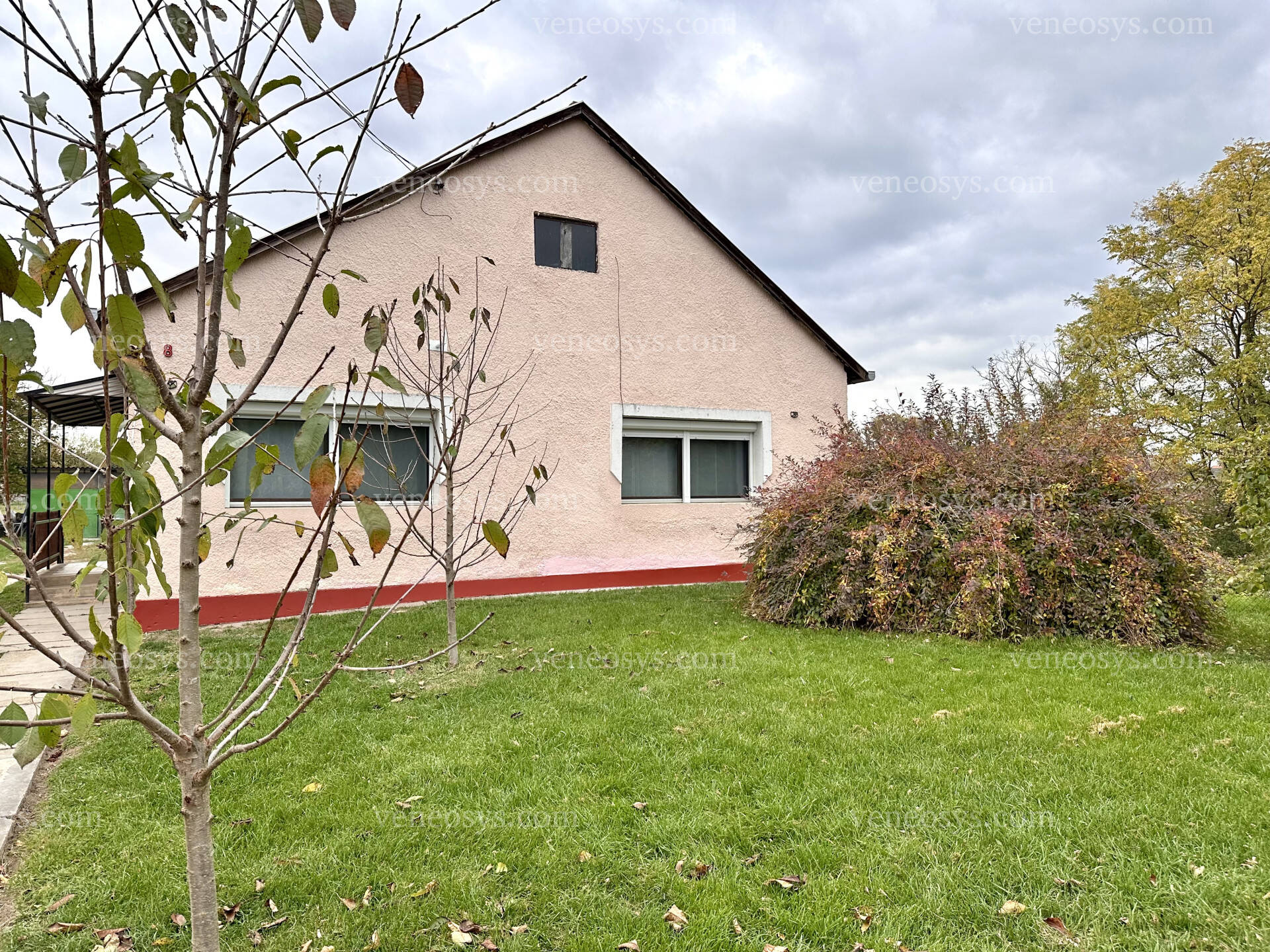 Kép 4