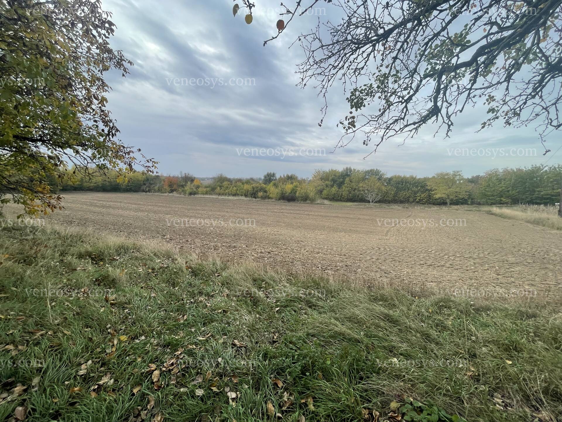 Kép 9