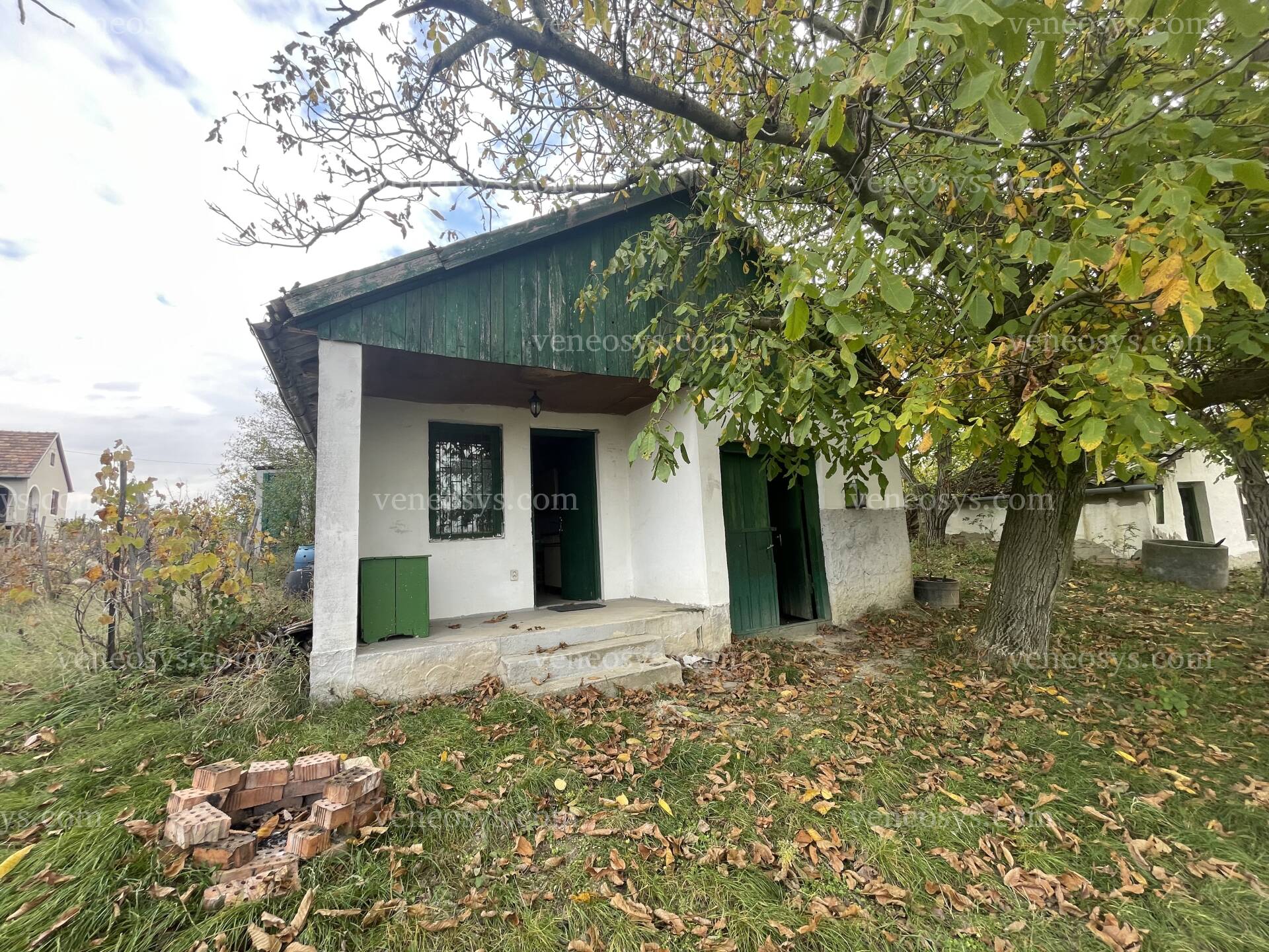 Kép 1