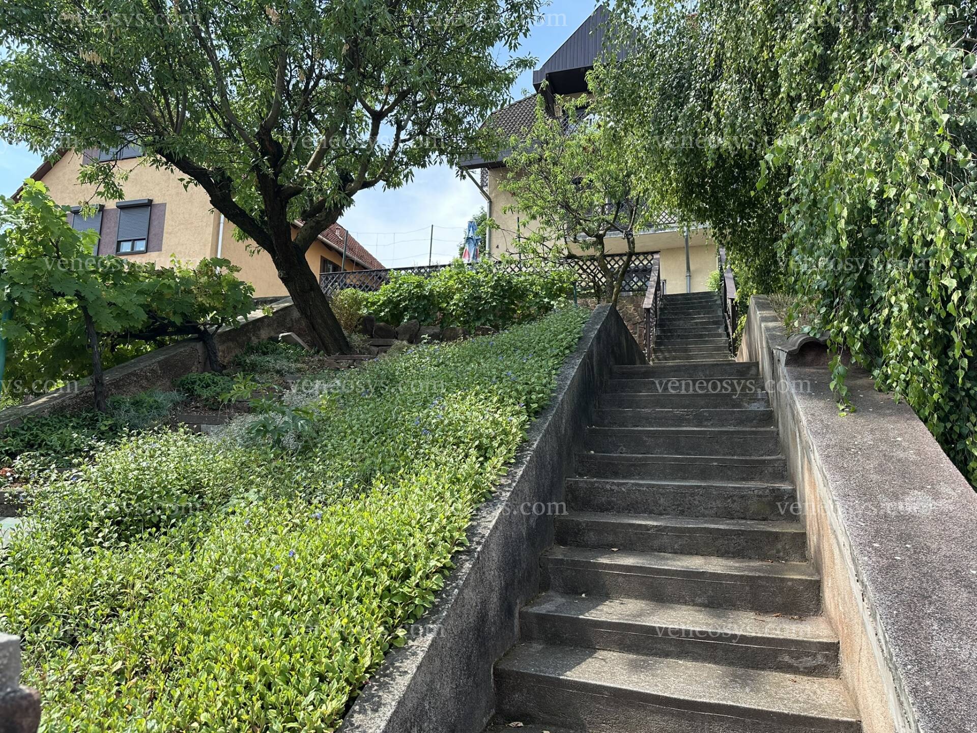 Kép 24