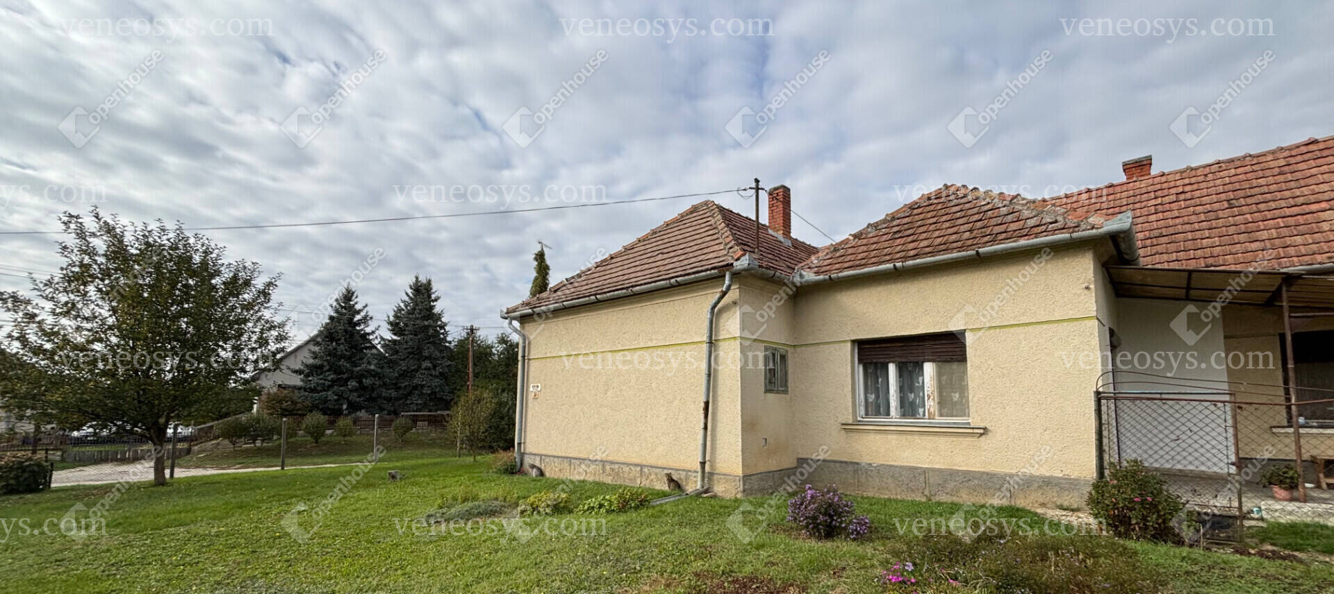 Kép 5