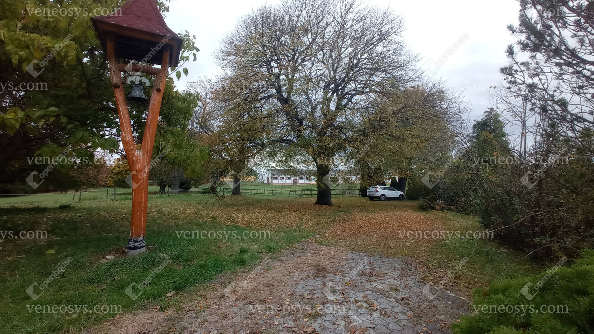 Kép 8