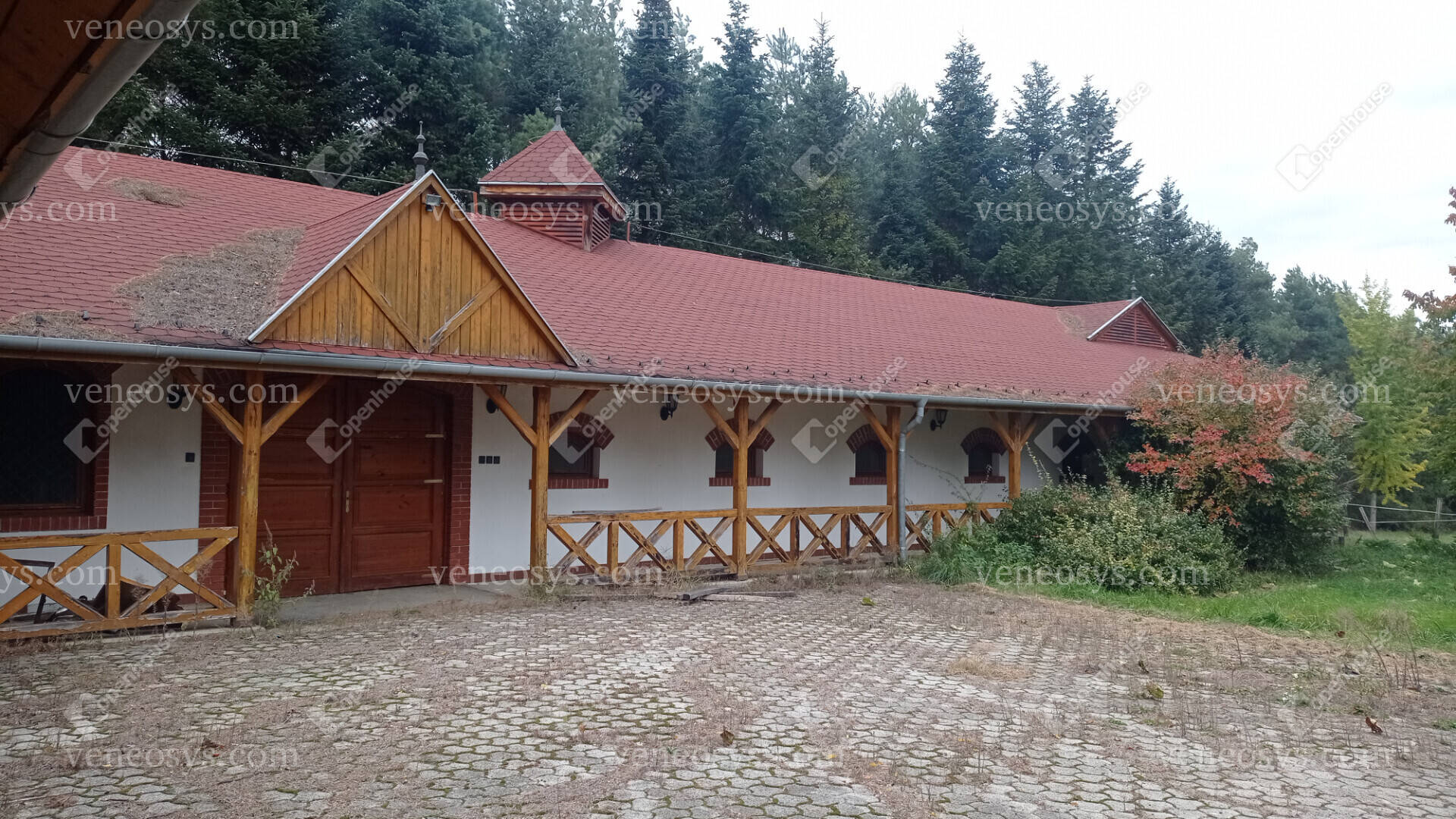 Kép 10