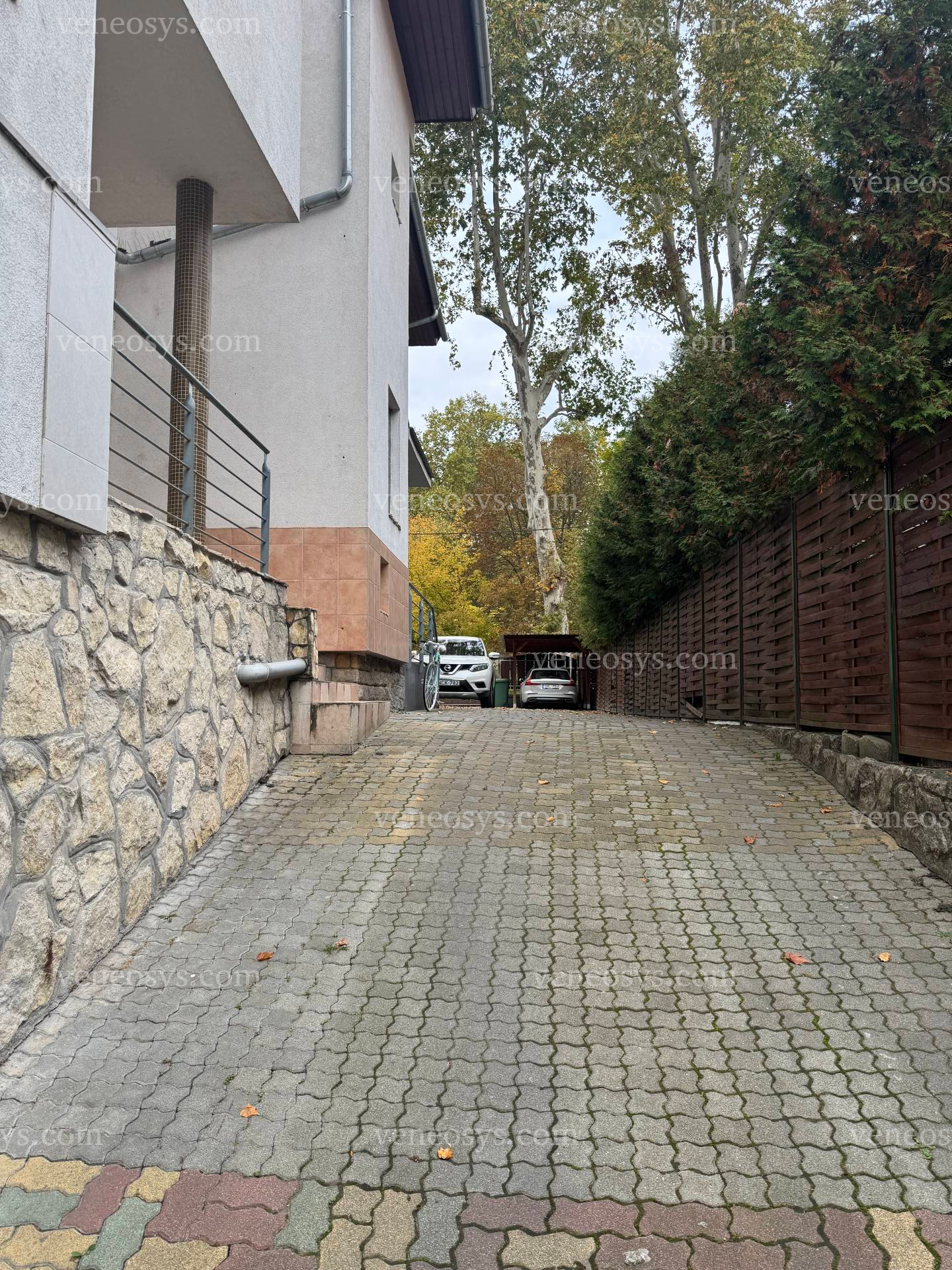 Kép 1