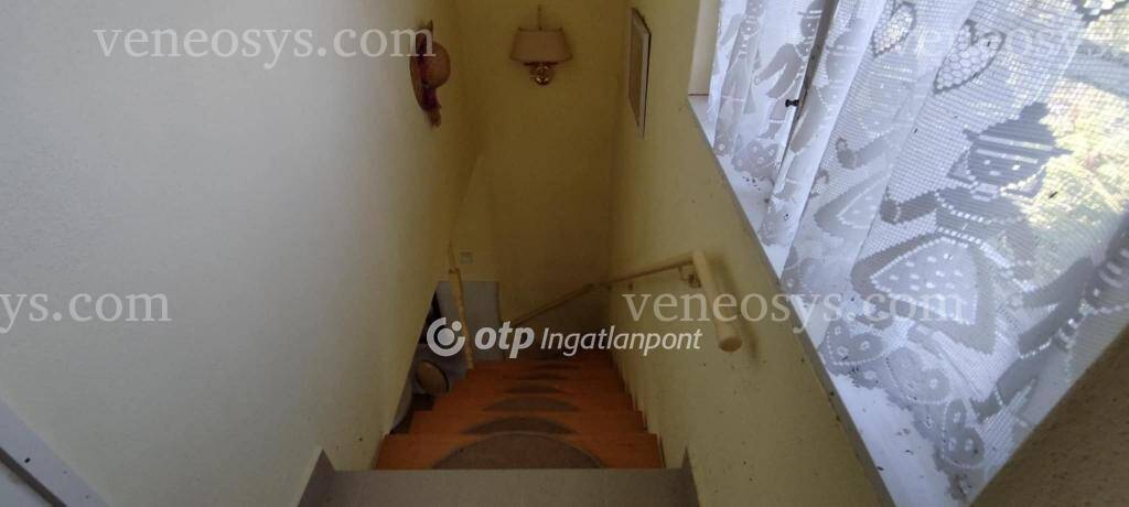 Kép 11