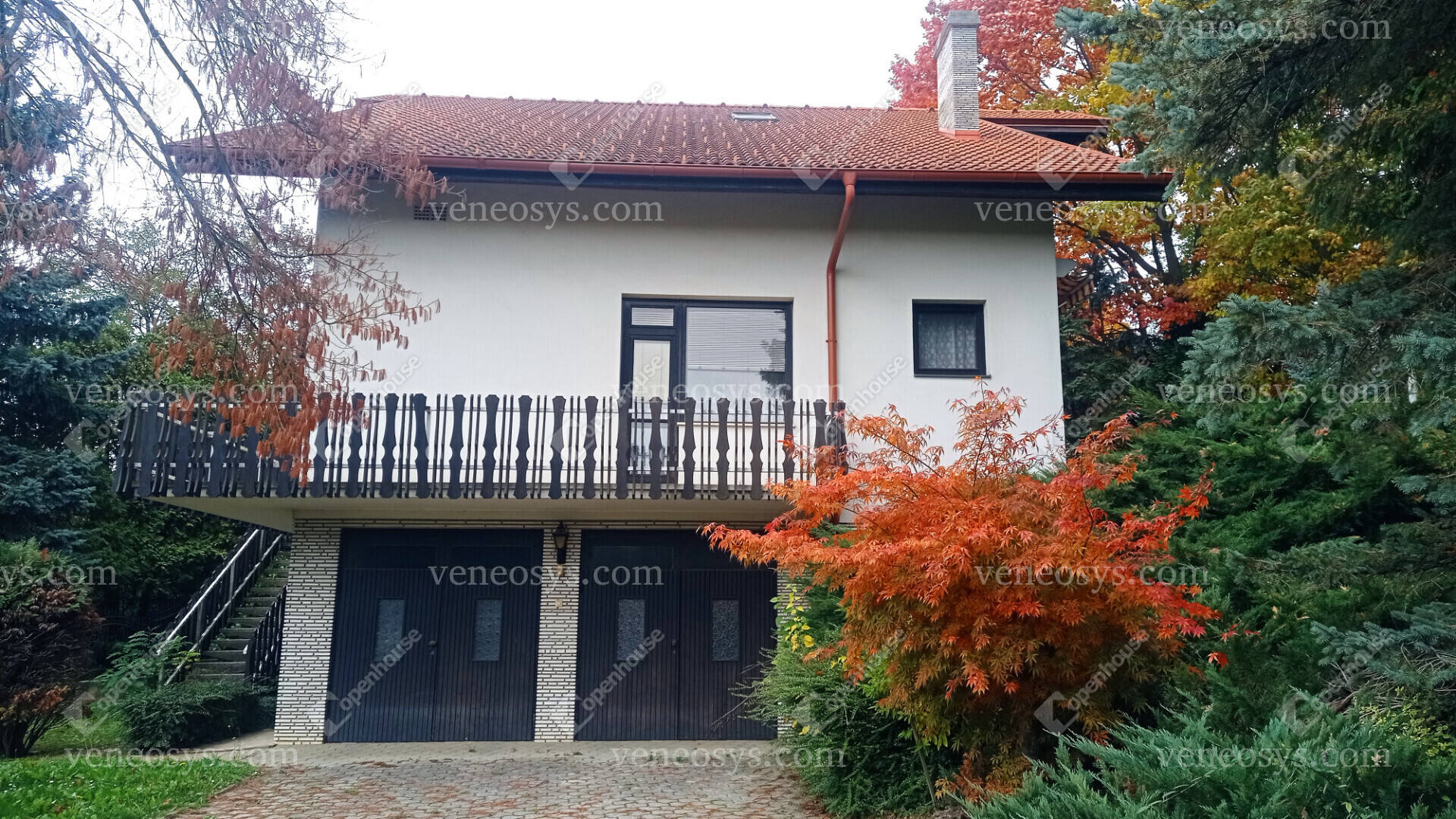 Kép 2