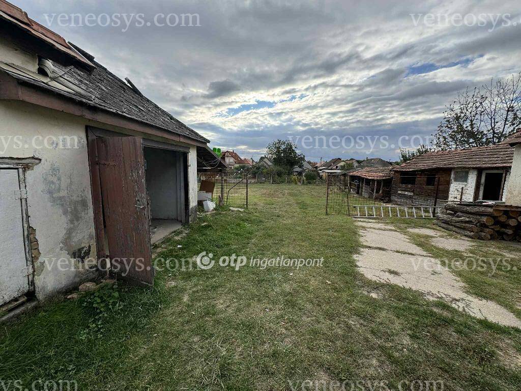 Kép 19