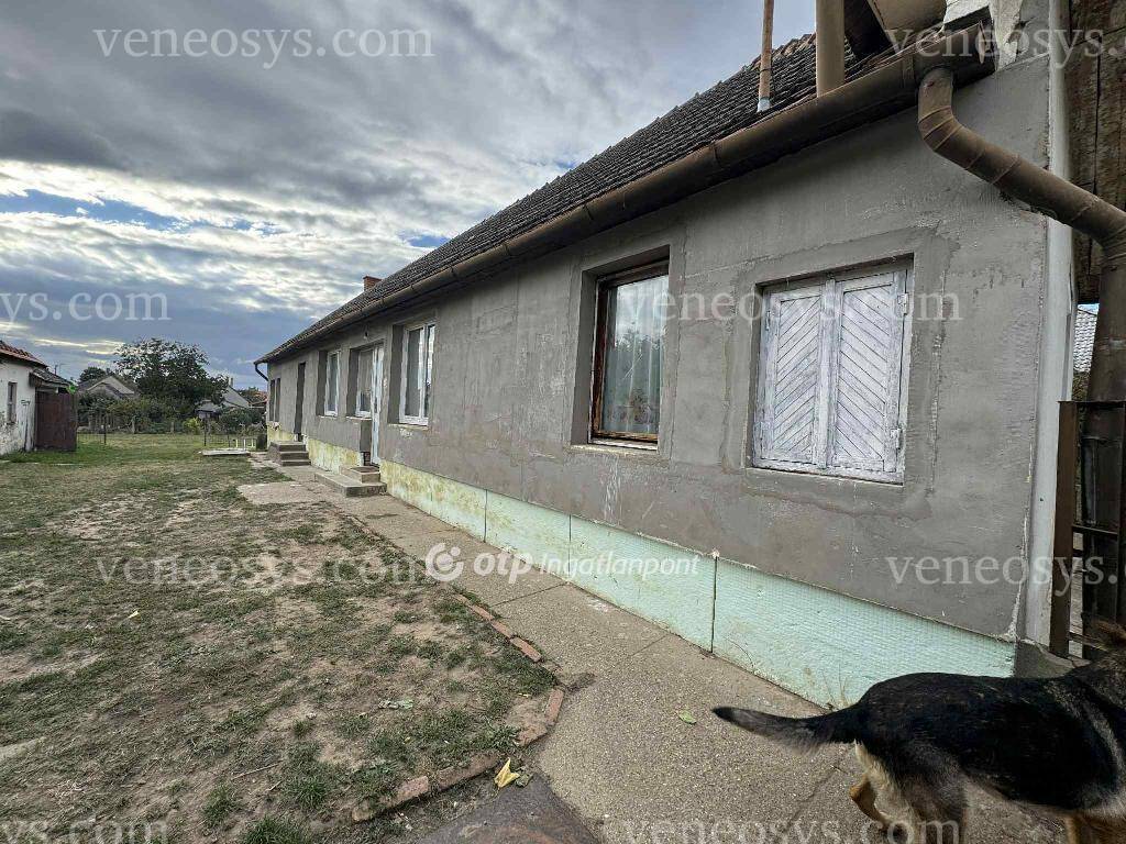 Kép 4
