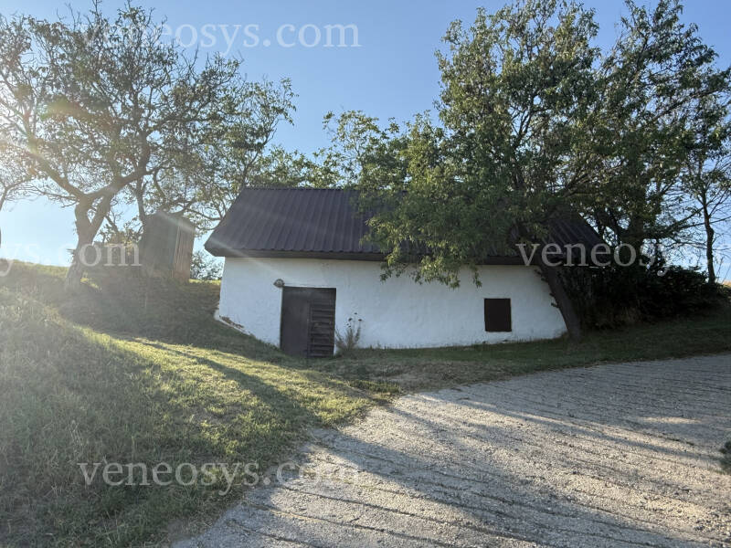 Kép 14
