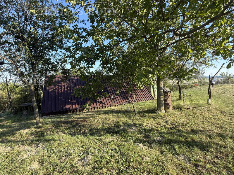 Kép 19