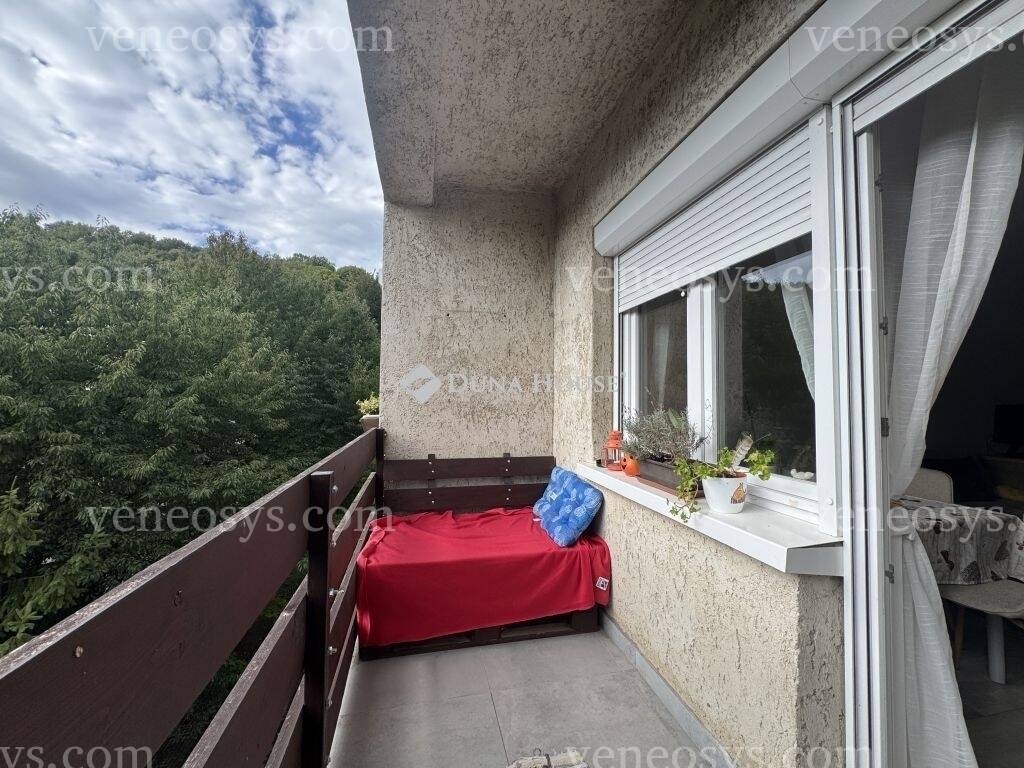 Kép 11