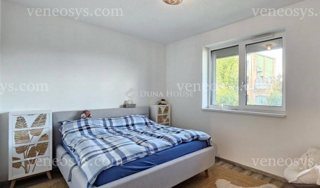 Kép 5