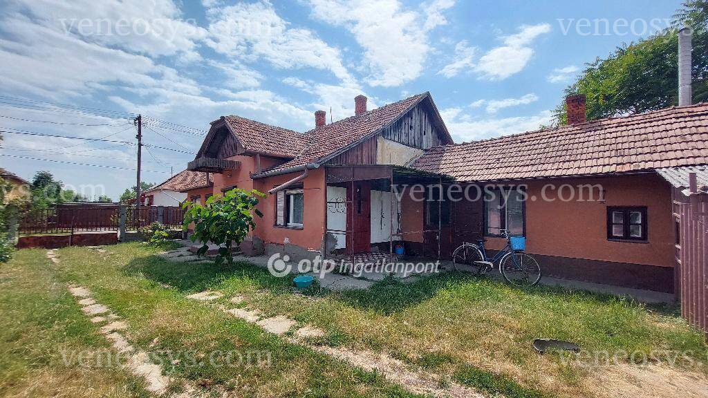 Kép 10