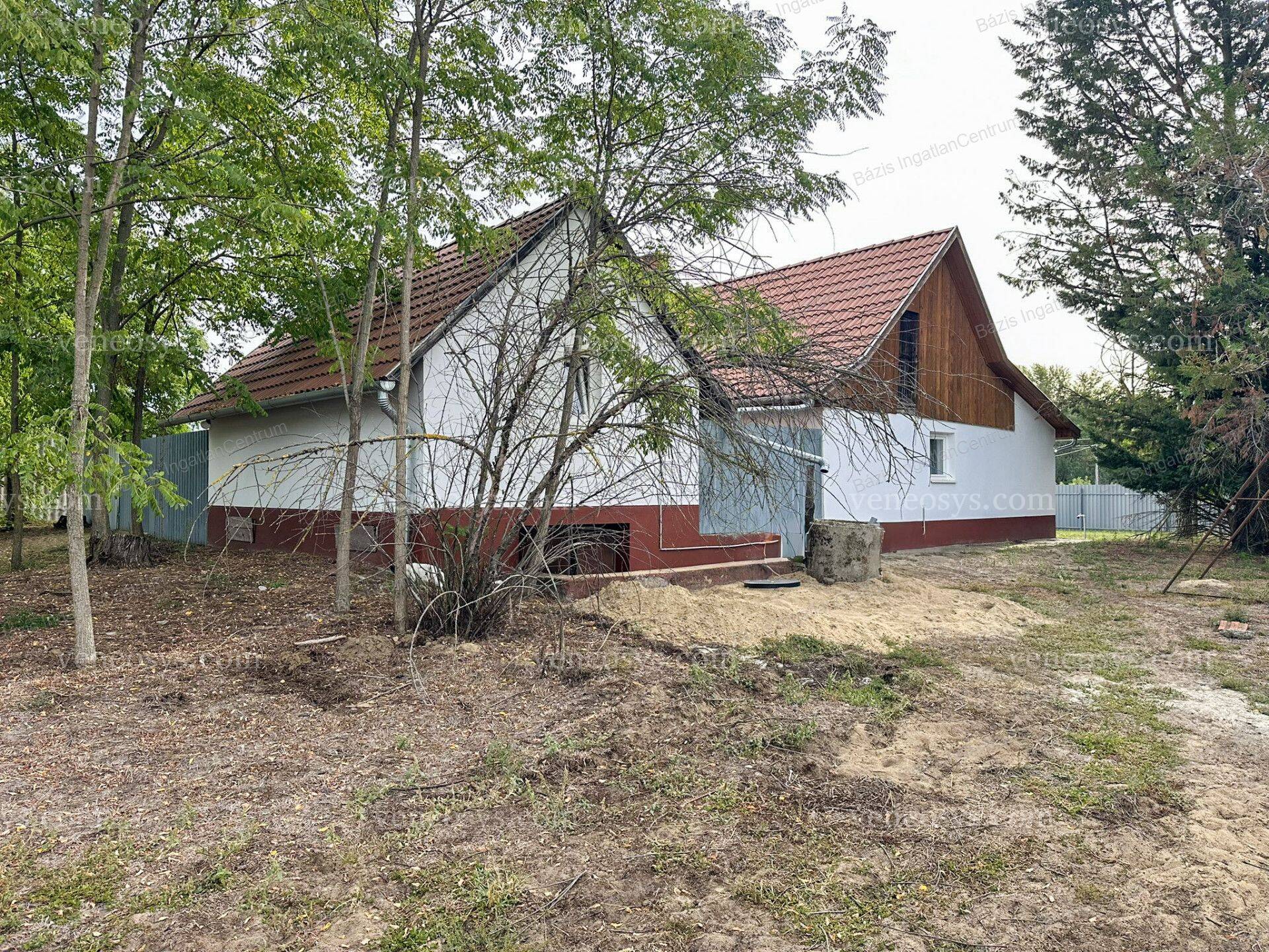 Kép 6