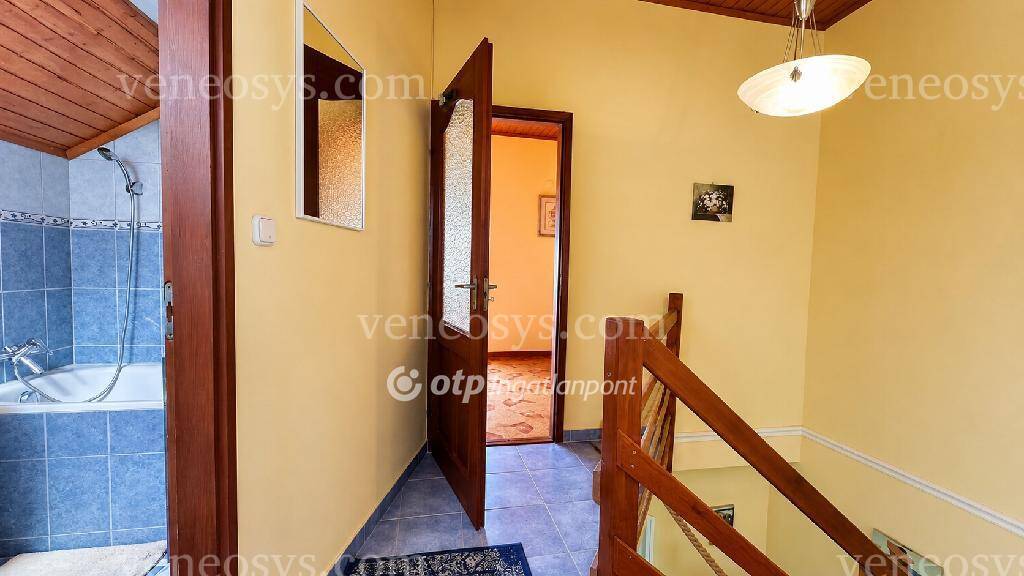 Kép 7