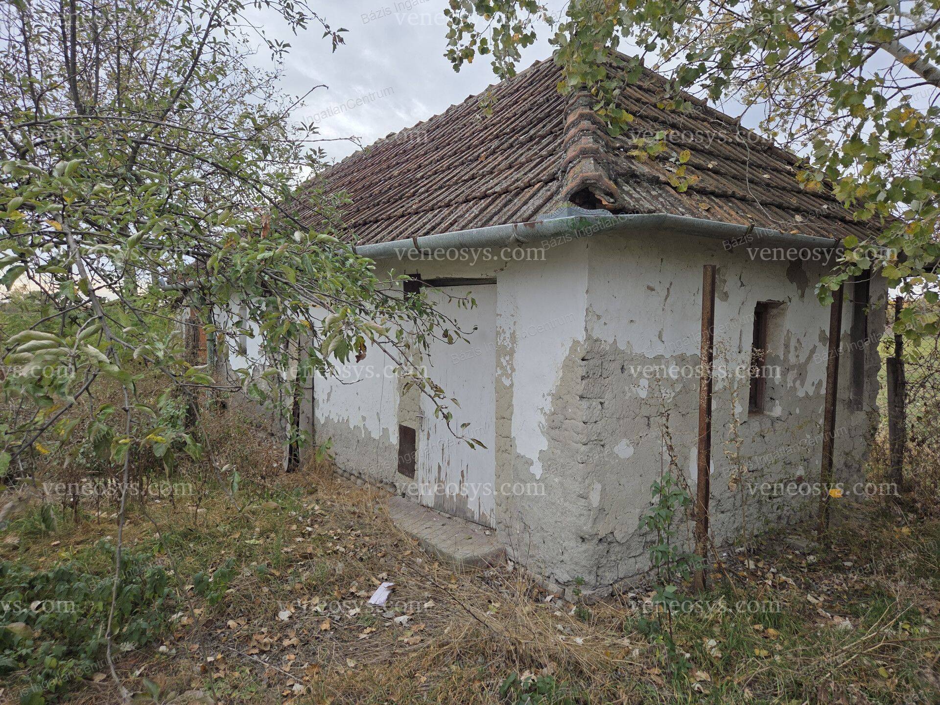 Kép 26