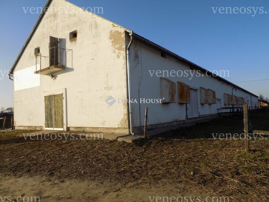Kép 3