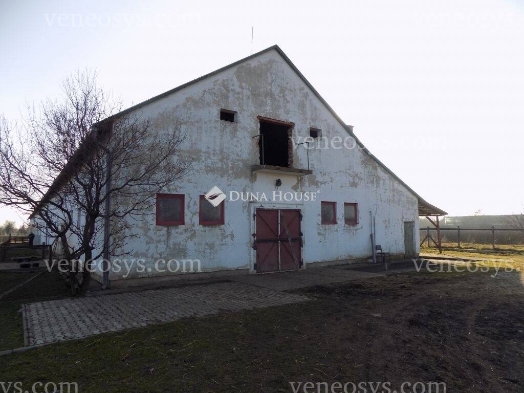 Kép 7