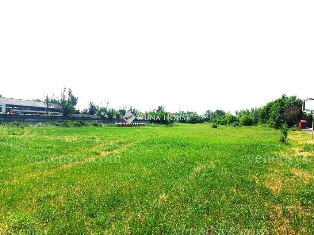 Kép 7