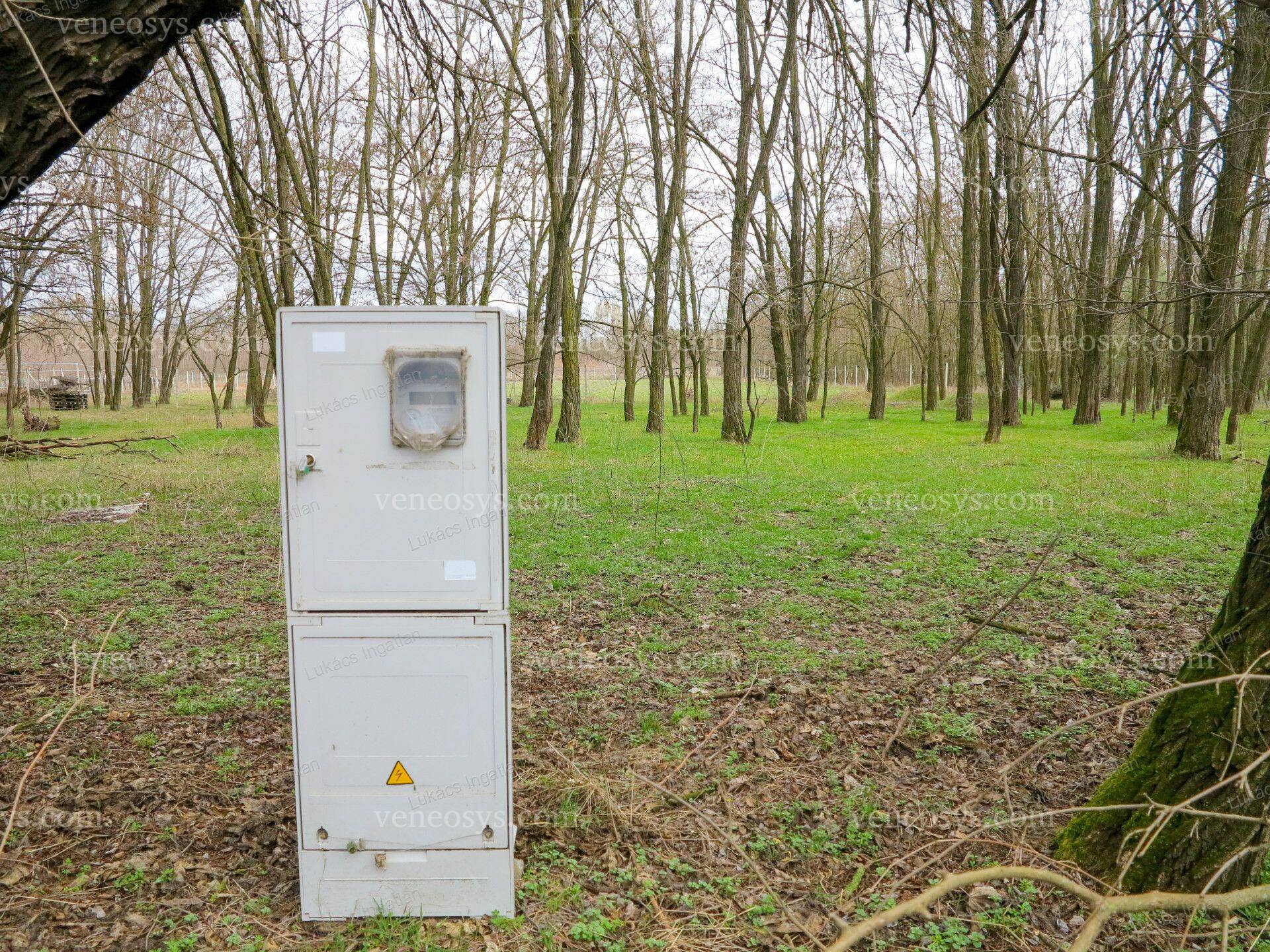 Kép 5