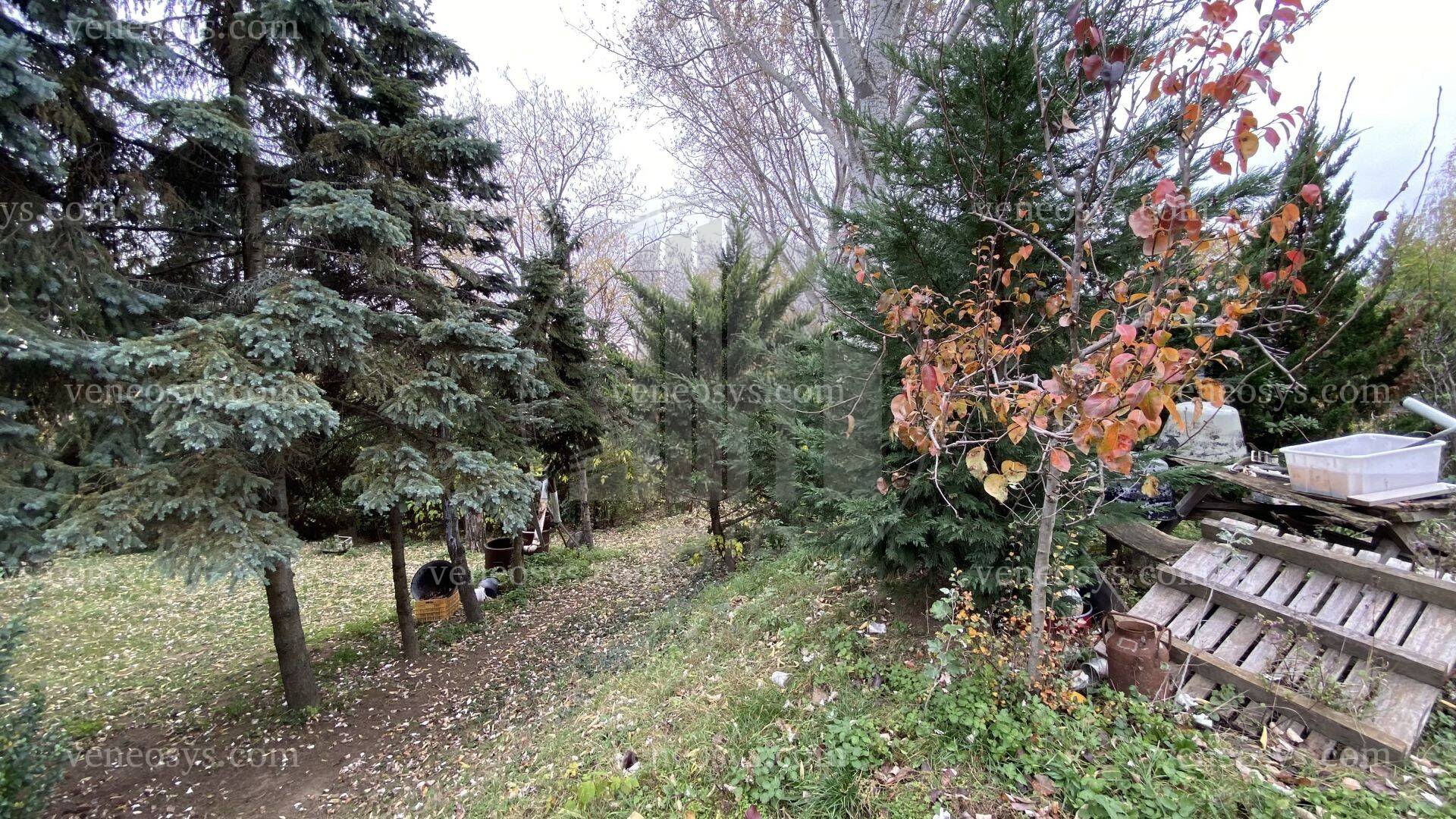 Kép 15