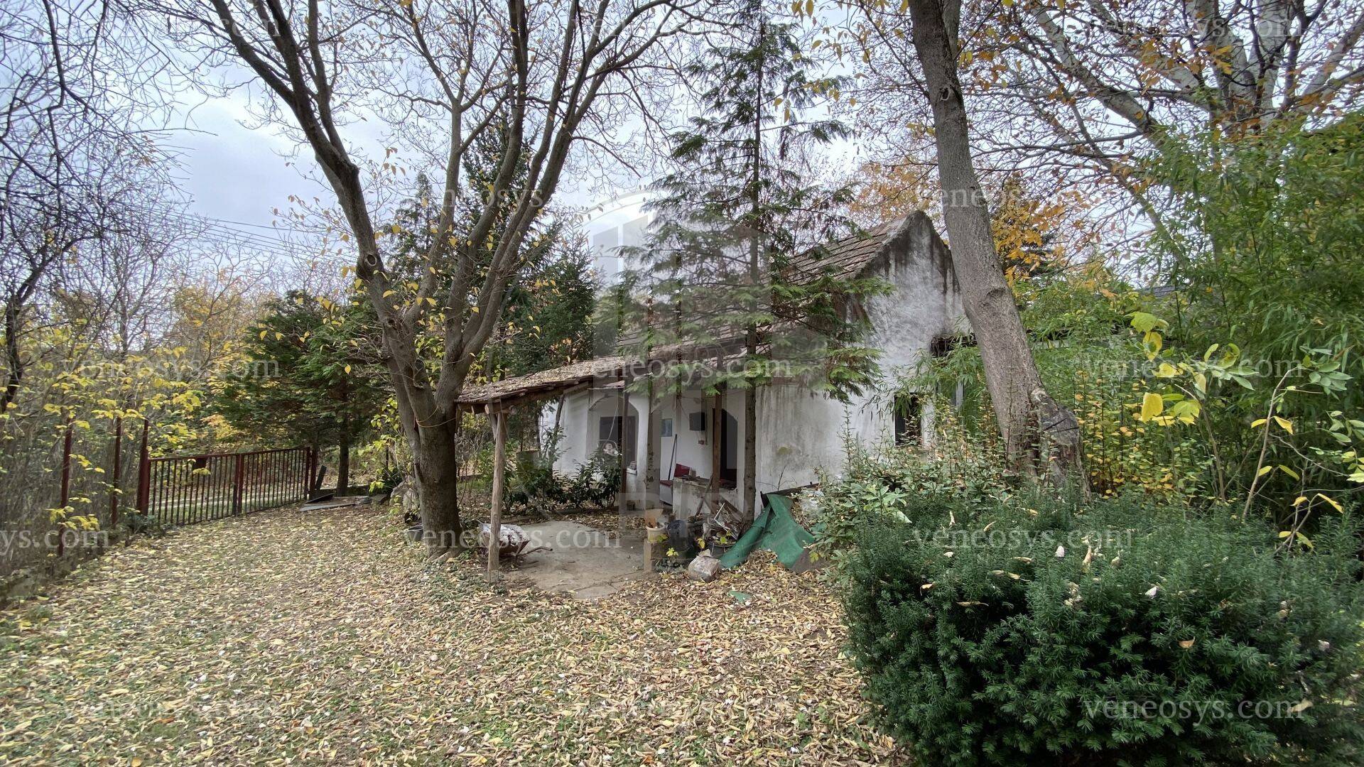 Kép 11