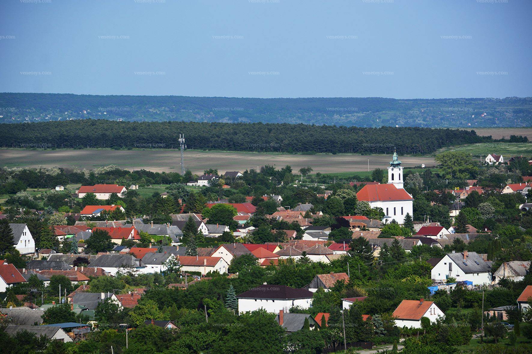 Kép 13