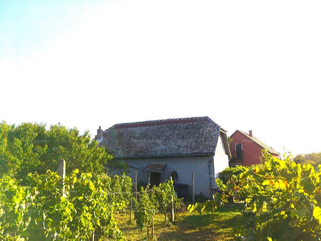 Kép 2