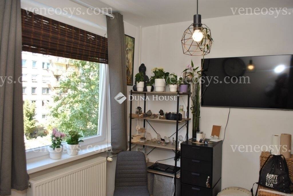 Kép 4