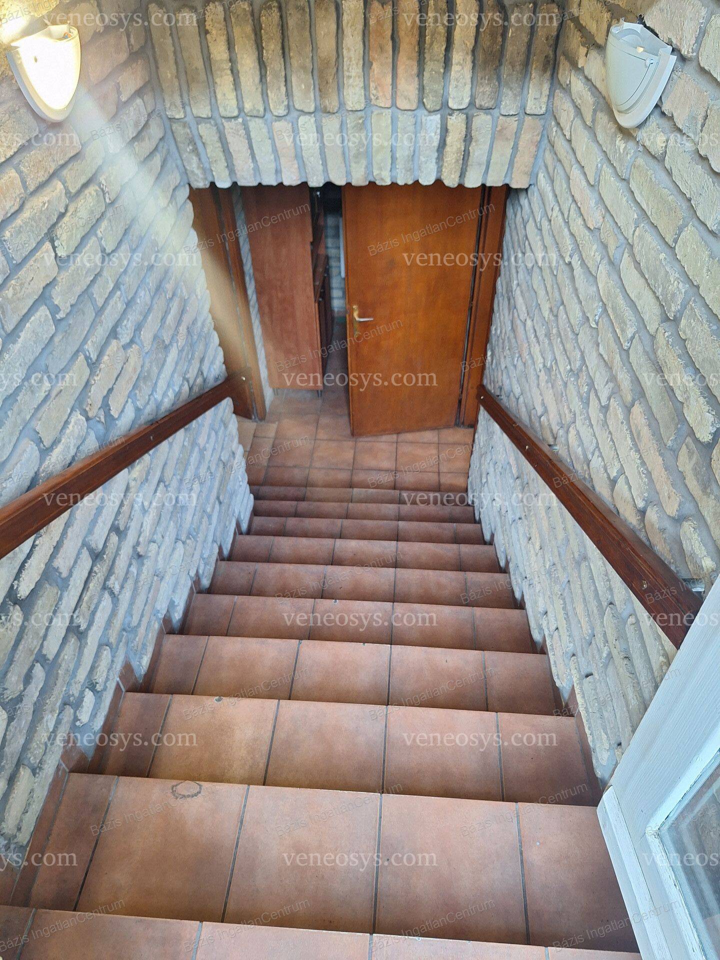 Kép 5